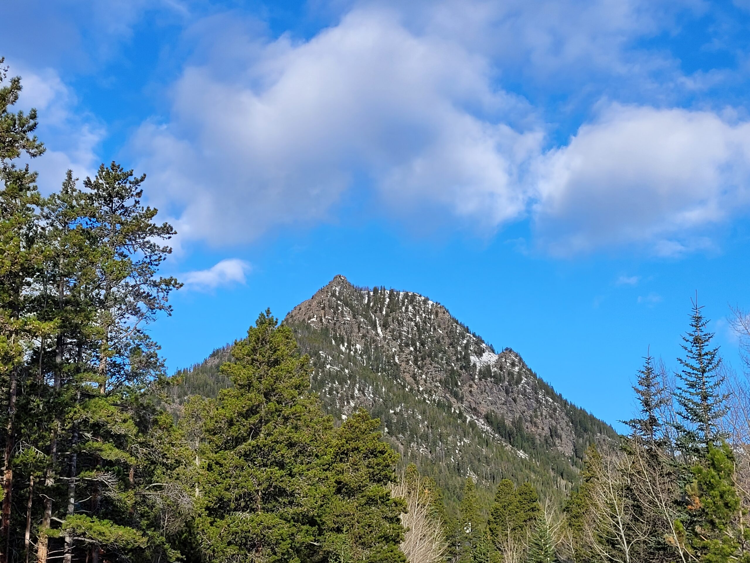 20230514_072754 (1)